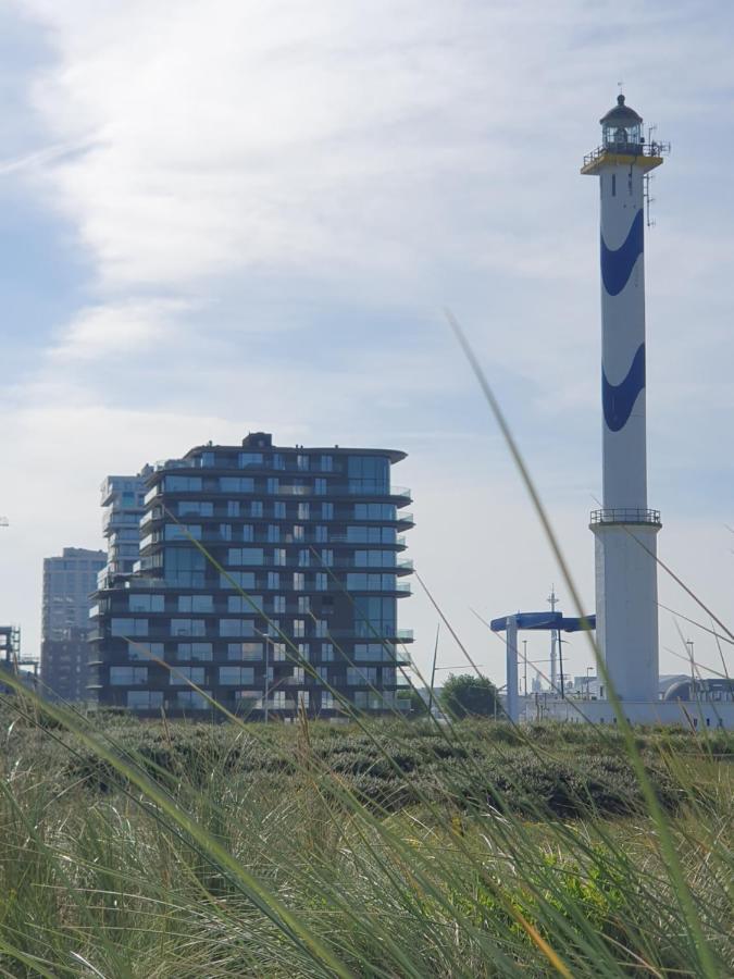 אוסטנדה Central Park Tower Sea View Residence With Pool And Gym מראה חיצוני תמונה
